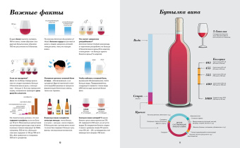 Пакетт, Хэммек: Wine Folly. Издание Магнум, детализированное