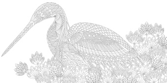 Милли Маротта: Дивные птицы. Книга для творчества и вдохновения