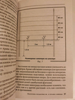 Виктор Жвакин: Виноград и другие любимые ягоды. Правила и советы для начинающих