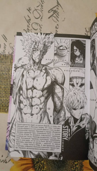 ONE: One-Punch Man. Книга 10