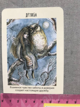 Паулина Кассиди: Оракул фей. Послания, которые несут нам духи природы