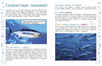 Морские животные