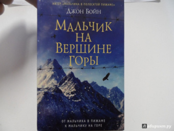 Джон Бойн: Мальчик на вершине горы