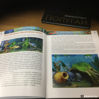 Лада Александрова: Хочу знать. Аквариумные рыбки