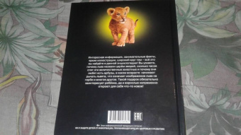 Владислав Щербак: Хочу знать. Львы