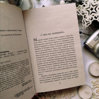 Катерина Полянская: Сталь и серебро. Книга 1