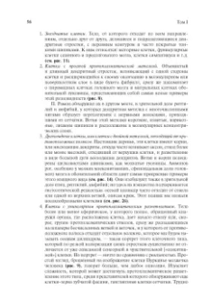 Сантьяго Рамон-и-Кахаль: Гистология нервной системы человека и позвоночных