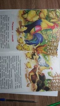 Константин Ушинский: Рассказы и сказки