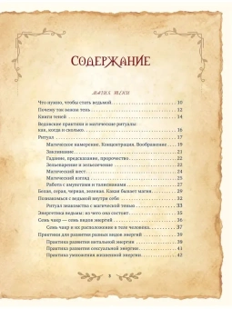 Лада Зеник: Большая ведьмовская книга заклинаний, ритуалов и обрядов. Магические практики. Книга теней