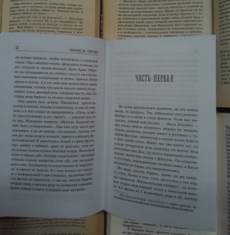 Аннабель Питчер: Облака из кетчупа