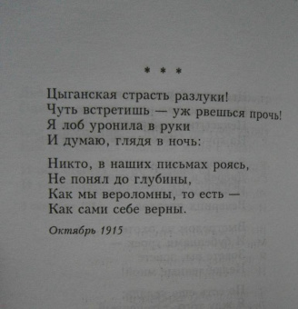 Марина Цветаева: Попытка ревности