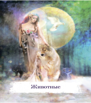 Питерс, Майклджон-Фри: Магические карты-заклинания