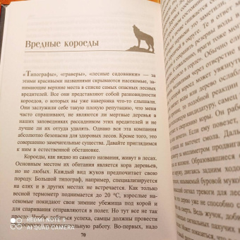 Петер Воллебен: Тайные связи в природе