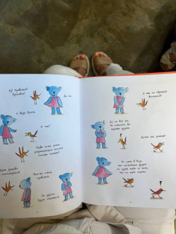 Беатриса Родригез: Философия Коалы