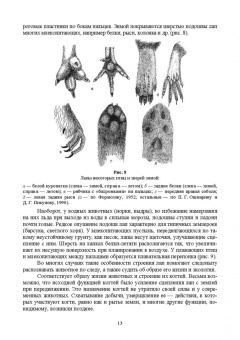 Анатолий Суворов: Основы полевых наблюдений. Полевое следопытство. Учебник для ВУЗов