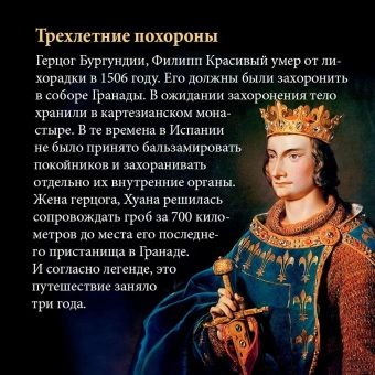 Вейнс Фрэнсис: Бурный XVI век. Габсбурги, ведьмы, еретики, кровавые мятежи