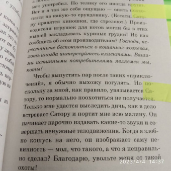 Хиро Арикава: Хроники странствующего кота