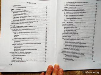Баго, Баго: Империя стресса. Когда стресс превращается в вашего работодателя