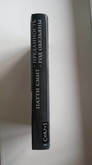 Патти Смит: Преданность. Год обезьяны