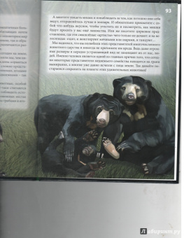 Ярослава Соколова: Хочу знать. Медведи