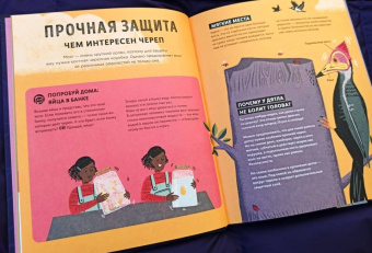 Тим Кеннингтон: Его величество мозг. Все самое интересное о работе мозга людей, животных и роботов