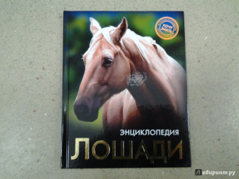 Леся Калугина: Хочу знать. Лошади