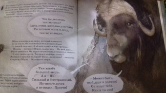 Ли Лефебуре: На крышу мира