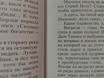 Айдар Халим: Трехногая кобыла. Повесть