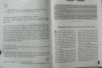 Александр Саврасов: Врангель Петр Николаевич.Престольный солесвод. Свод 4