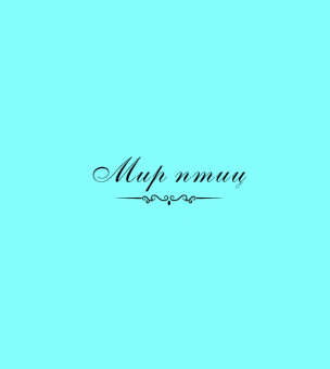 Шмидт, Шмидт: Чик и Чирик