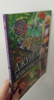 Джунгли. Животные и птицы