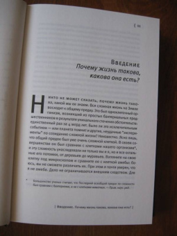 Ник Лейн: Вопрос жизни