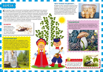 Растительный мир России. Популярная детская энциклопедия