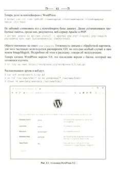 Атаки на веб и WordPress