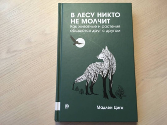 Мадлен Циге: В лесу никто не молчит. Как животные и растения общаются друг с другом