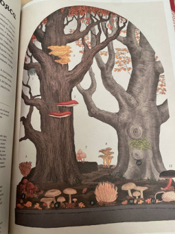 Гайя, Прескотт, Ли: Грибы