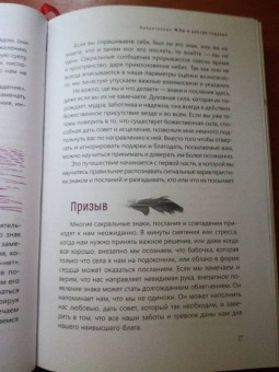 Шерри Диллард: Сакральные знаки и символы. Пробудитесь к сообщениям и синхроничности вокруг вас