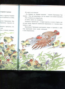 Виталий Бианки: Оранжевое Горлышко