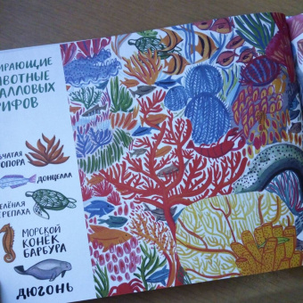 Изабелла Баннелл: На грани исчезновения