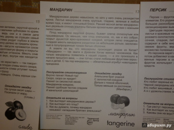 Т. Цветкова: Демонстрационные картинки Фрукты, 16 картинок