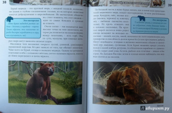 Ярослава Соколова: Хочу знать. Медведи