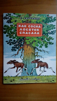 Сергей Афоньшин: Как сосна лосяток спасала