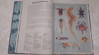 Лавдэй Триник: Океанариум