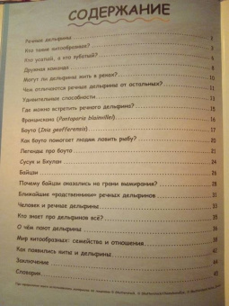 Чернецкий, Краснова: Где живут дельфины? И чего мы не знаем о самых общительных животных