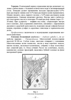 Геннадий Бажов: Кормовые отравления животных. Причины, симптомы, лечение. Учебное пособие для вузов