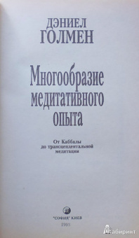 Дэниел Голмен: Многообразие медитативного опыта. Саттипадхана. Опыт внимательности