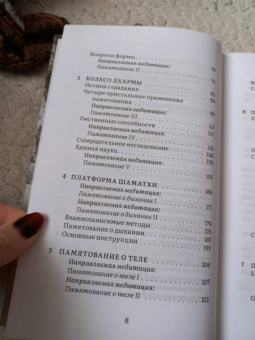 Ален Уоллес: Внимаем пристально. Четыре применения памятования