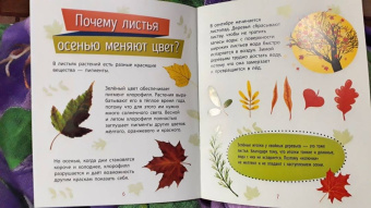 Анна Булгакова: Растения