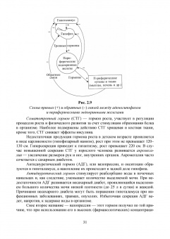 Позняковский, Дроздова, Влощинский: Физиология питания. Учебник