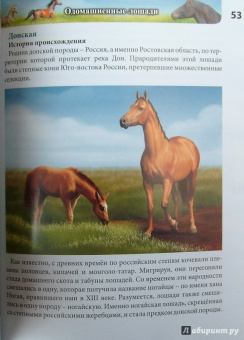 Леся Калугина: Хочу знать. Лошади